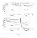 Fig. 09 - MULTIFUNCTIONAL BIODEGRADABLE CARRIERS FOR DRUG DELIVERY