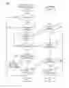 Fig. 07 - Electrical treatment apparatus, system, and computer-readable medium storing program