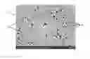 Fig. 01 - Golf ball incorporating melt processable highly-crosslinked ethylene acid copolymer(s) and/or ionomer(s)