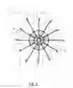 Fig. 02 - TRACKLESS AMUSEMENT RIDE