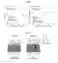 Fig. 09 - Method of post-treating zeolite membranes by using dye molecules