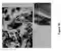 Fig. 35 - Mechanical system that fluidizes, mixes, coats, dries, combines, chemically reacts, and segregates materials