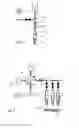 Fig. 03 - Pipetting method and pipetting device