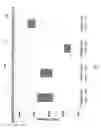 Fig. 07 - CONTAINER BASE CONSTRUCTIONS AND METHODS OF MAKING THE SAME