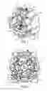 Fig. 08 - Winch