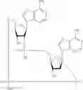Fig. 49 - 2'2'-CYCLIC DINUCLEOTIDES