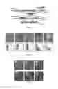 Fig. 07 - Microbial stem cell technology