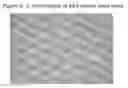 Fig. 03 - Stem Cells from the Mammalian Neural Plate