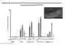 Fig. 10 - Stem Cells from the Mammalian Neural Plate