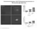 Fig. 11 - Stem Cells from the Mammalian Neural Plate