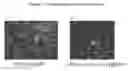 Fig. 18 - Stem Cells from the Mammalian Neural Plate