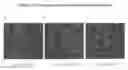 Fig. 19 - Stem Cells from the Mammalian Neural Plate