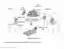 Fig. 01 - NK-mediated immunotherapy and uses thereof