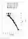 Fig. 02 - Microorganisms engineered for increased productivity