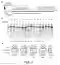 Fig. 09 - Non-meiotic allele introgression