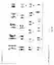 Fig. 06 - Targeted modification of rat genome