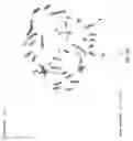 Fig. 08 - Targeted modification of rat genome