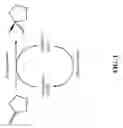 Fig. 02 - Ketoreductase polypeptides for the production of (R)-3-hydroxythiolane