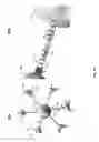 Fig. 02 - Devices for detecting target biological molecules from cells and viruses