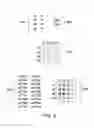 Fig. 06 - Spatially Encoded Biological Assays