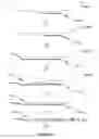 Fig. 02 - Nicking and Extension Amplification Reaction for the Exponential Amplification of Nucleic Acids
