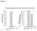Fig. 07 - Methods of lowering the error rate of massively parallel DNA sequencing using duplex consensus sequencing