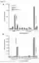 Fig. 08 - Methods of lowering the error rate of massively parallel DNA sequencing using duplex consensus sequencing