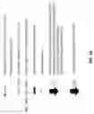 Fig. 03 - Methods, systems, compositions, kits, apparatus and computer-readable media for molecular tagging