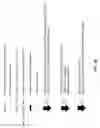 Fig. 05 - Methods, systems, compositions, kits, apparatus and computer-readable media for molecular tagging
