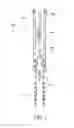 Fig. 02 - Inverted Y-tool for downhole gas separation