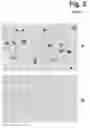 Fig. 06 - Image forming cytometer