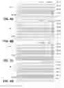 Fig. 04 - PLASTIC COATINGS FOR IMPROVED SOLVENT RESISTANCE