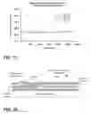 Fig. 11 - PLASTIC COATINGS FOR IMPROVED SOLVENT RESISTANCE