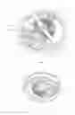 Fig. 02 - Timepiece with a mechanical oscillator