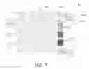 Fig. 09 - Systems and methods for generating textiles with repeating patterns