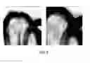 Fig. 07 - HIGH-RESOLUTION ANIMATED RASTER ARTWORK FOR DISPLAY