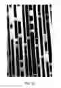 Fig. 08 - HIGH-RESOLUTION ANIMATED RASTER ARTWORK FOR DISPLAY