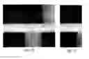 Fig. 09 - HIGH-RESOLUTION ANIMATED RASTER ARTWORK FOR DISPLAY