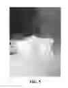 Fig. 06 - Image blurring methods and apparatuses, storage media, and electronic devices