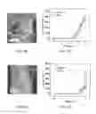 Fig. 06 - Molecular doping enabled scalable blading of efficient hole transport layer-free perovskite solar cells
