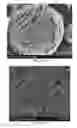 Fig. 02 - Selenium Loaded Mesoporous Carbon Cathode for Alkali Metal-Selenium Secondary Battery