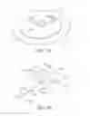 Fig. 07 - Speaker and sound diffuser thereof