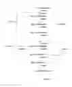 Fig. 03 - Non-crystallisable D-allulose syrups