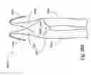 Fig. 28 - Garments with universal fly