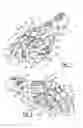 Fig. 02 - Protective glove