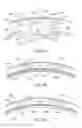 Fig. 13 - Compressible damping system for body part protection