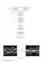Fig. 08 - Deep learning based estimation of data for use in tomographic reconstruction