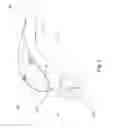 Fig. 02 - Skin treatment device
