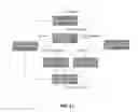 Fig. 41 - SYSTEMS AND METHODS FOR TREATMENT USING DOMAIN-SPECIFIC TREATMENT PROTOCOLS