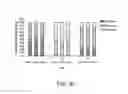 Fig. 12 - TARGETED DELIVERY OF PROGESTINS AND ESTROGENS VIA VAGINAL RING DEVICES FOR FERTILITY CONTROL AND HRT PRODUCTS